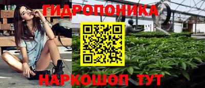 соль ск Нальчик