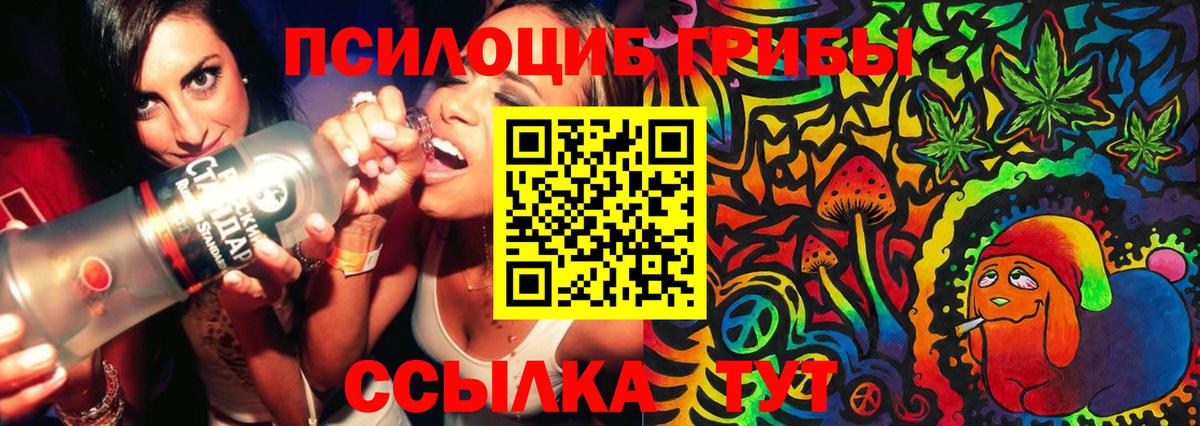 Кудрово  Галлюциногенные грибы GOLDEN TEACHER  Псилоцибиновые грибы Psilocybine cubensis  Вход с VPN 