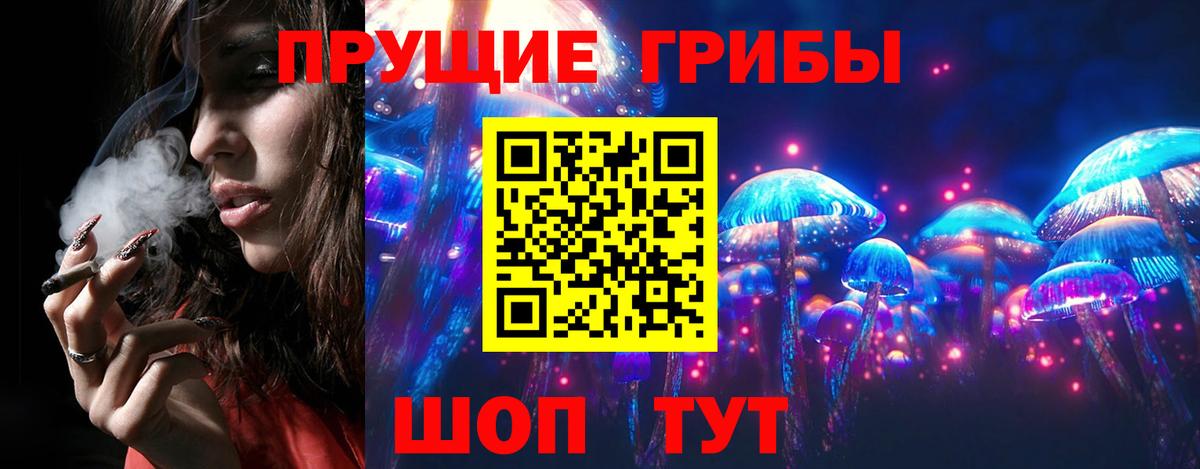 Галлюциногенные грибы Psilocybine cubensis Кудрово